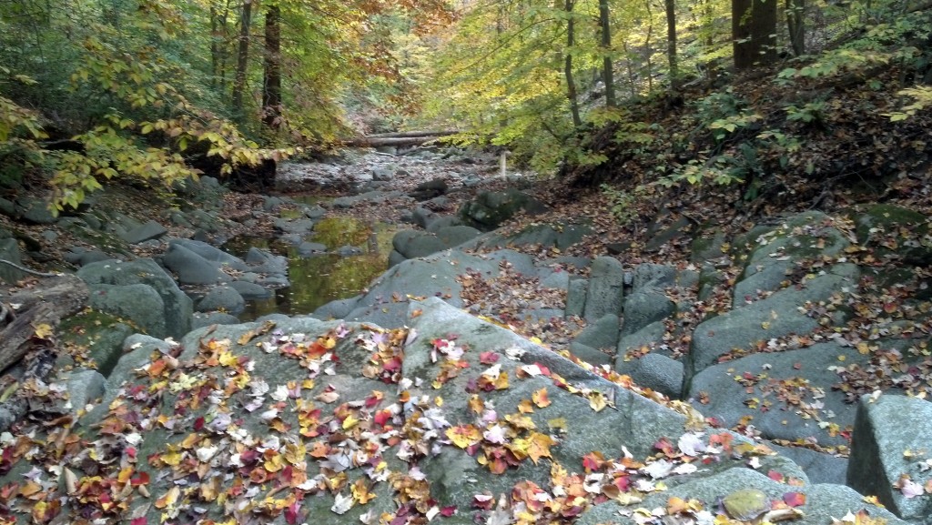 Soapstone Valley, Nov. 6, 2013 (Photo by Michael E. Grass)