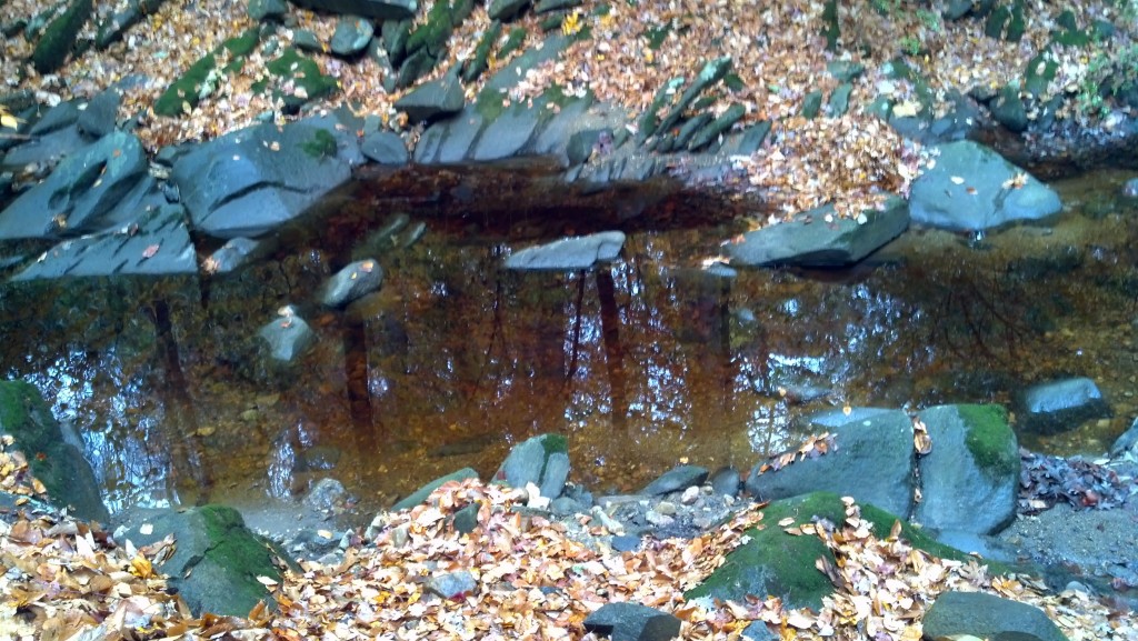Nov. 16, 2013