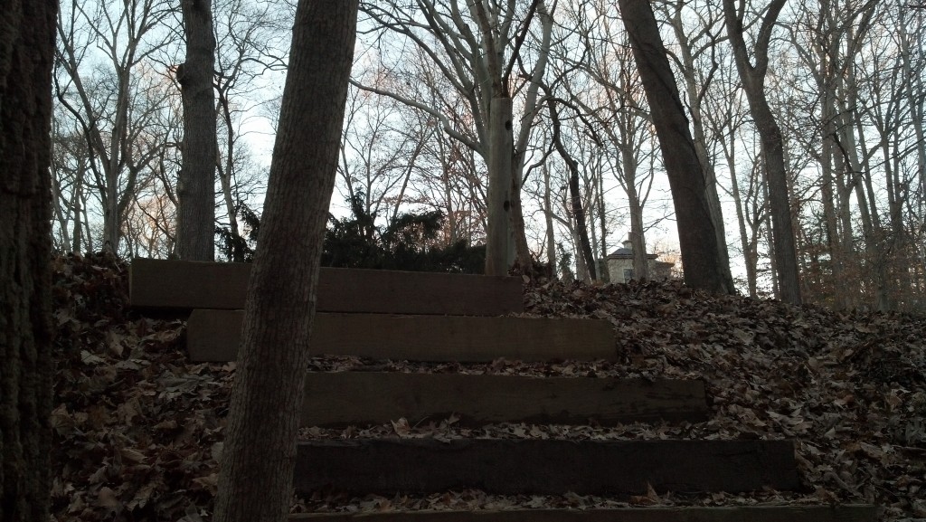 A house on Audubon Terrace adjacent to Soapstone Valley on Dec. 27, 2013.