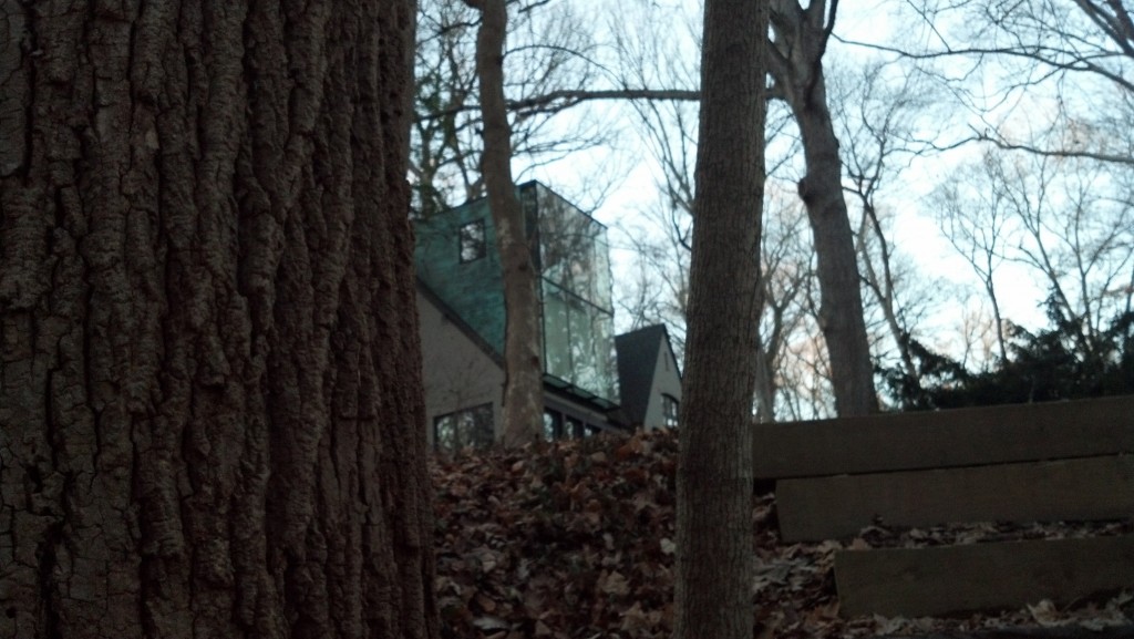 A house on Audubon Terrace adjacent to Soapstone Valley on Dec. 27, 2013