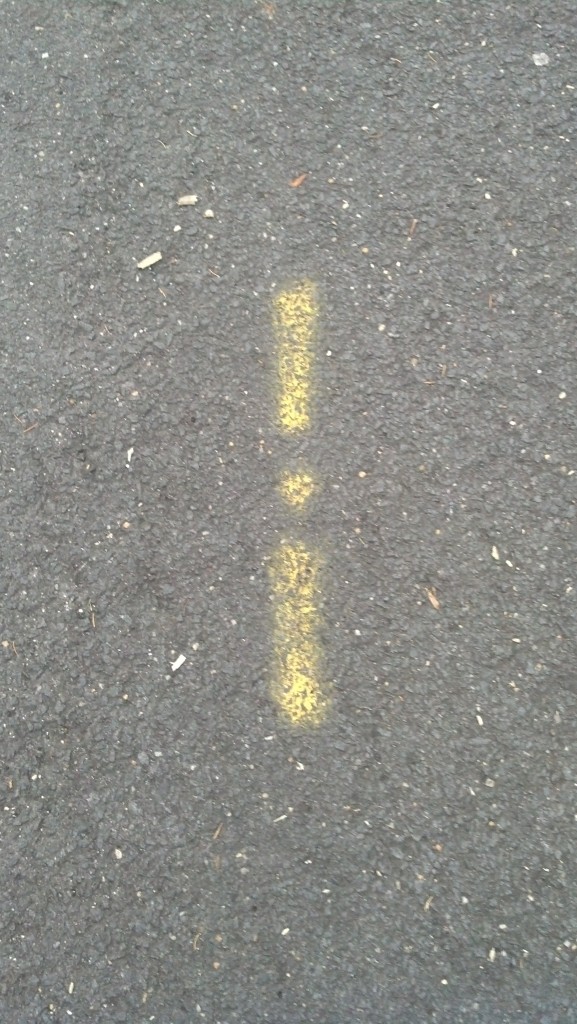 Spray-painted pavement markings on Audubon Terrace adjacent to Soapstone Valley, Dec. 27, 2013